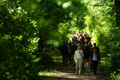 Foto af vandring i Riisskov