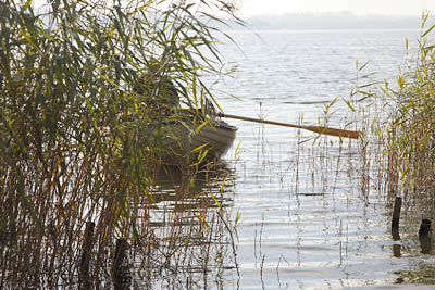 En båd i en sø