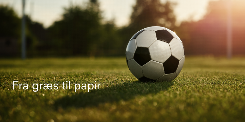 Fodbold på græsplæne. Foldbold og litteratur