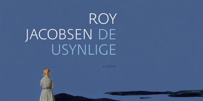 Billede af bogforside: De usynlige